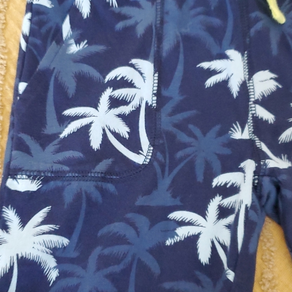 Lot of 2 H&M Little Boy Pull On Knit Shorts - Picture 9 of 12